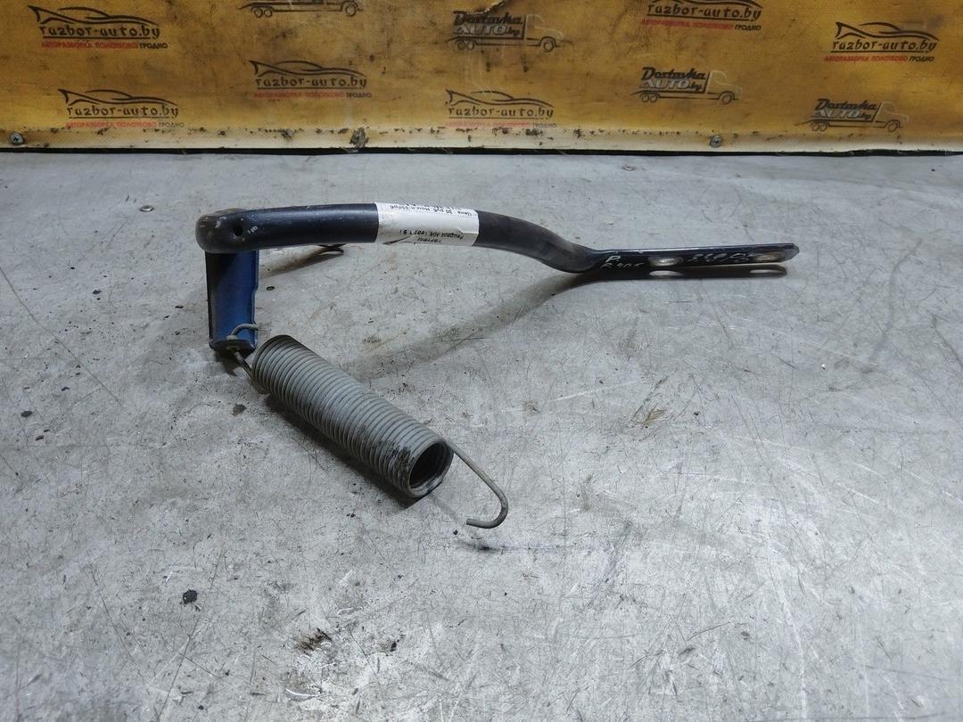 Петля крышки багажника YSFYPM Peugeot 405 купить