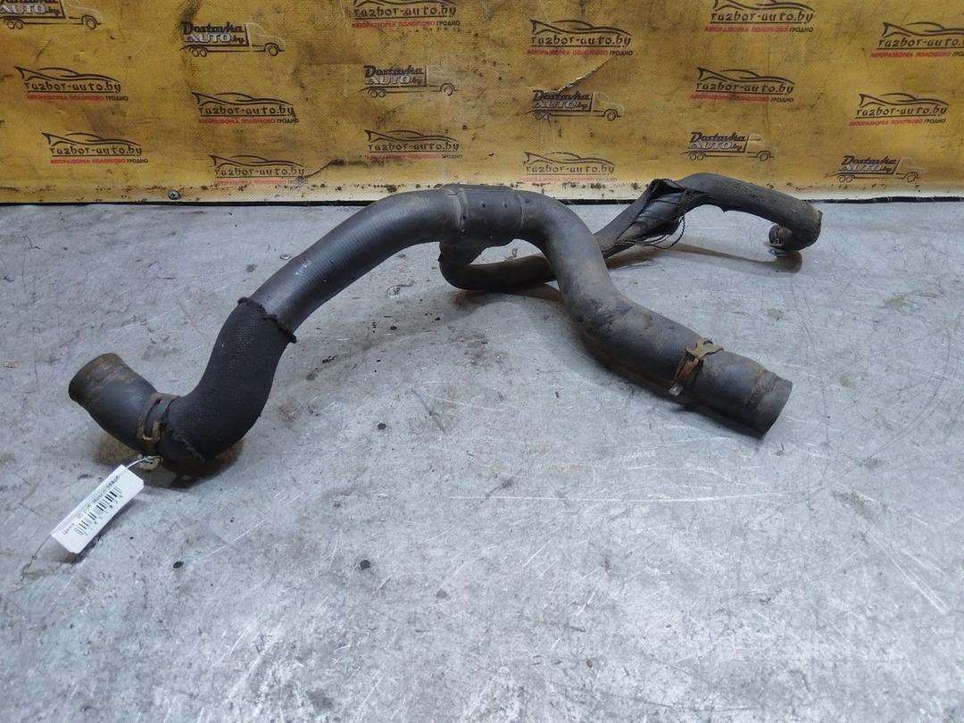 Патрубок радиатора WD5YIA Renault Laguna купить с доставкой