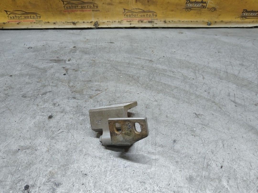 Петля двери передней правой IVZL31 Peugeot 406 купить с доставкой