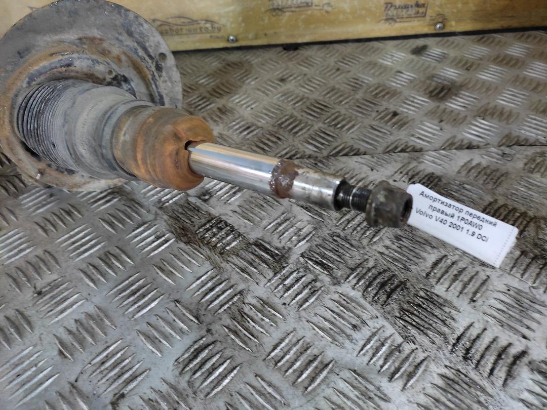 Амортизатор передний правый 1P0AW0 Volvo V40 купить
