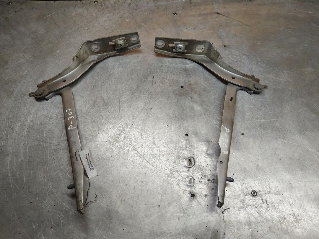 Петля капота FZAZTF Peugeot 307