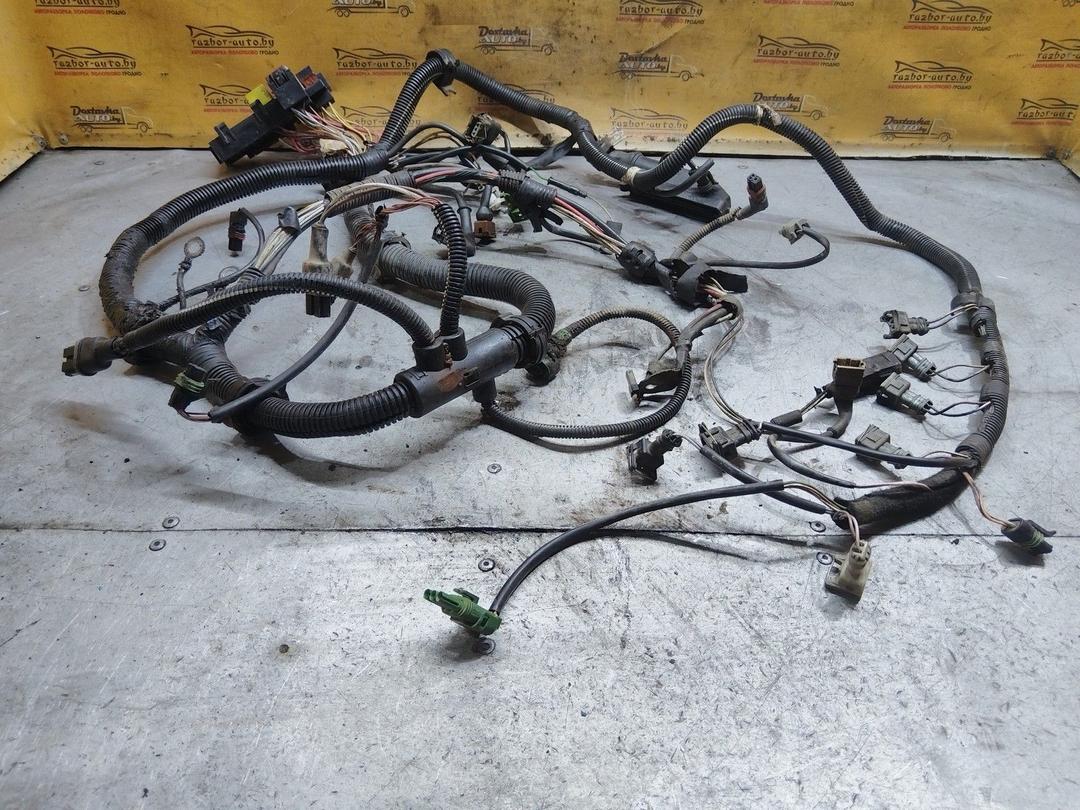 Проводка двигателя NUILZN Renault Scenic купить с доставкой