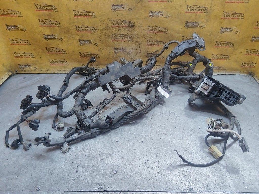 Проводка двигателя SCFXDS Toyota Corolla Verso - Фото 1