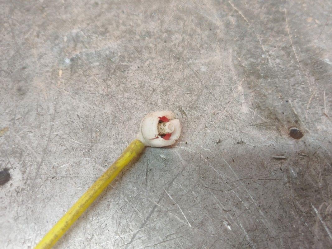 Проводка двери передней правой Y8RFKE Mercedes A W168 undefined