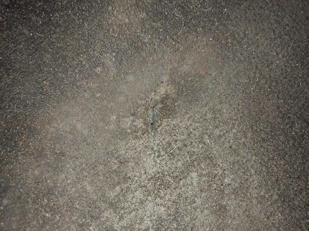 Коврики в салон FBJ54X Kia Sorento - Фото 4