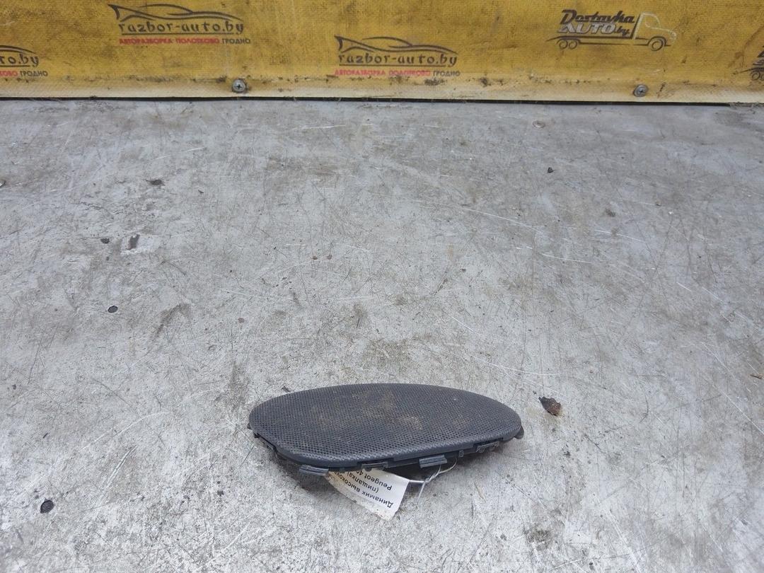 Динамик высокочастотный (пищалка) X6OK1H Peugeot 406 купить с доставкой