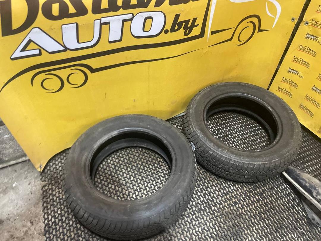 Шина Sunny 185/65 R15 LZ4APN LZ4APN Sunny - Фото 4