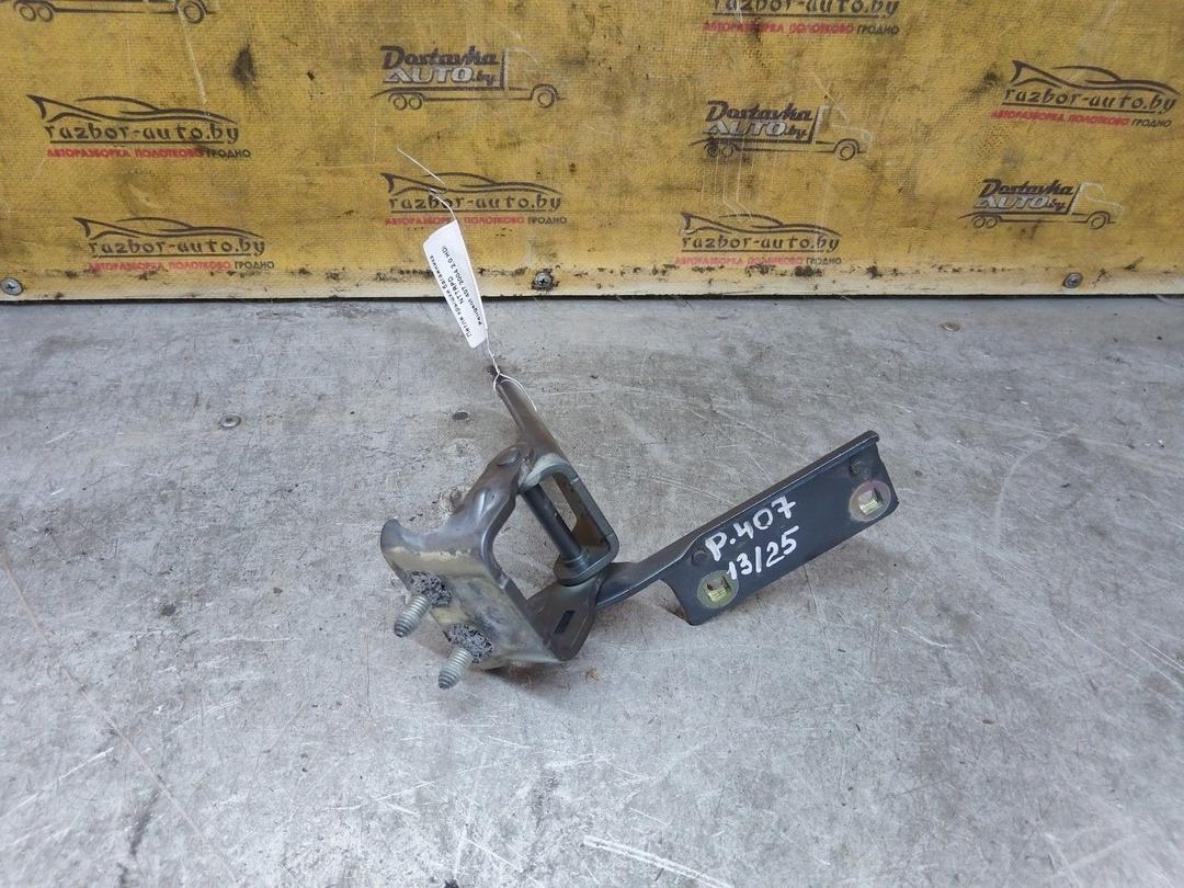 Петля крышки багажника NTTRPD Peugeot 407