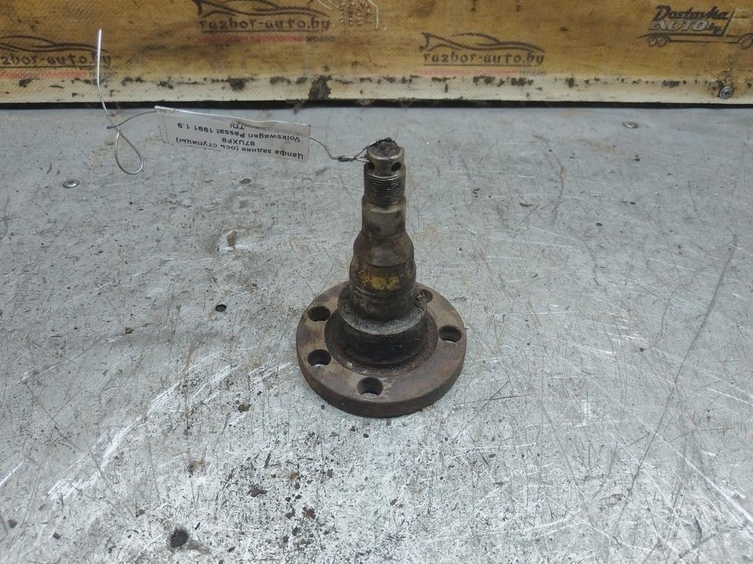 Цапфа задняя (ось ступицы) 87UXF8 Volkswagen Passat - Фото 2