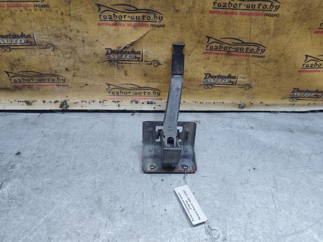 Ручка открывания капота Z1NOTN Renault Scenic купить с доставкой