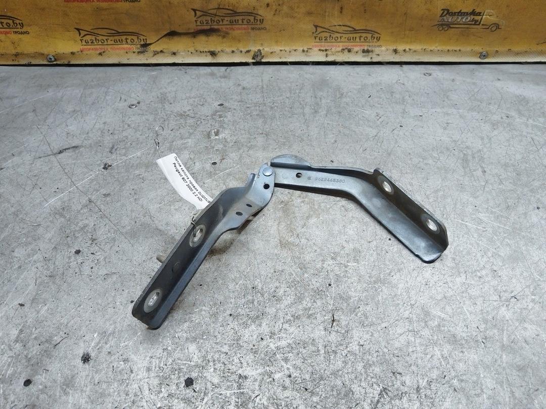 Петля капота правая 0UQMUB Peugeot 607 купить