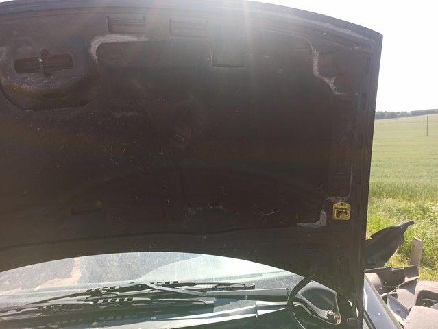 Петля капота L901B9 Seat Alhambra - Фото 3