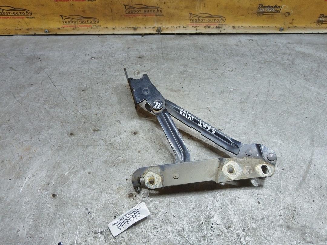 Петля крышки багажника CGPNDG Seat Toledo купить с доставкой