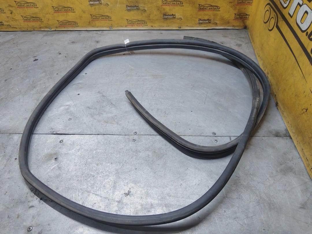 Уплотнитель двери задней правой TB17PT Renault Scenic - Фото 1