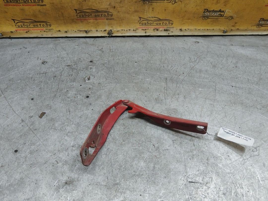 Петля капота правая LNZ7Z9 Peugeot 206