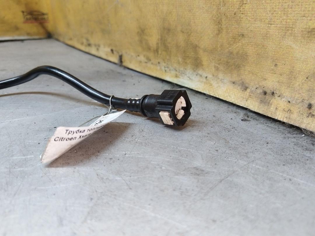 Трубка топливная WN9B40 Citroen Xsara Picasso - Фото 2