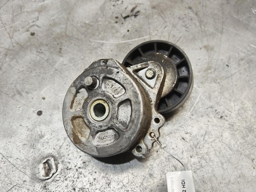 Натяжитель ремня генератора E8PWLD Citroen Jumper - Фото 1