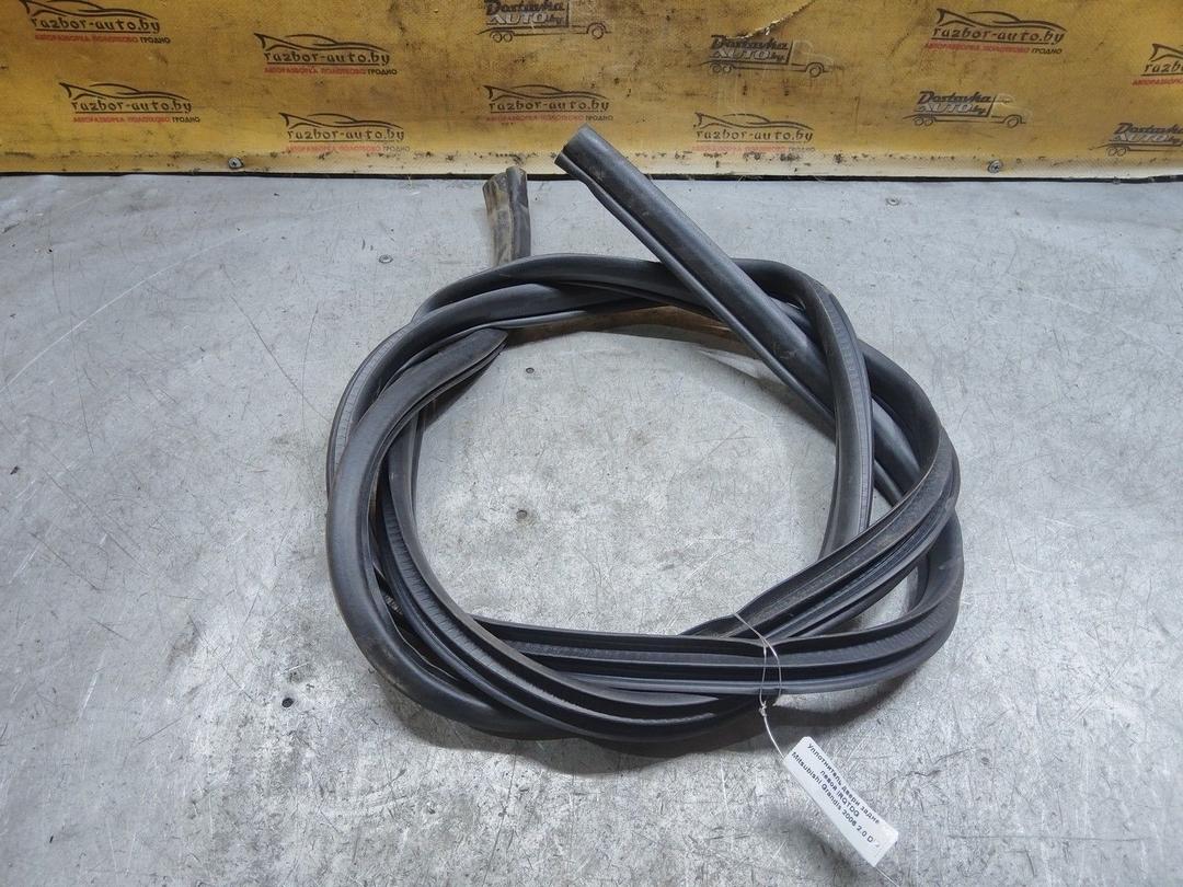 Уплотнитель двери задней левой IRQTDG Mitsubishi Grandis