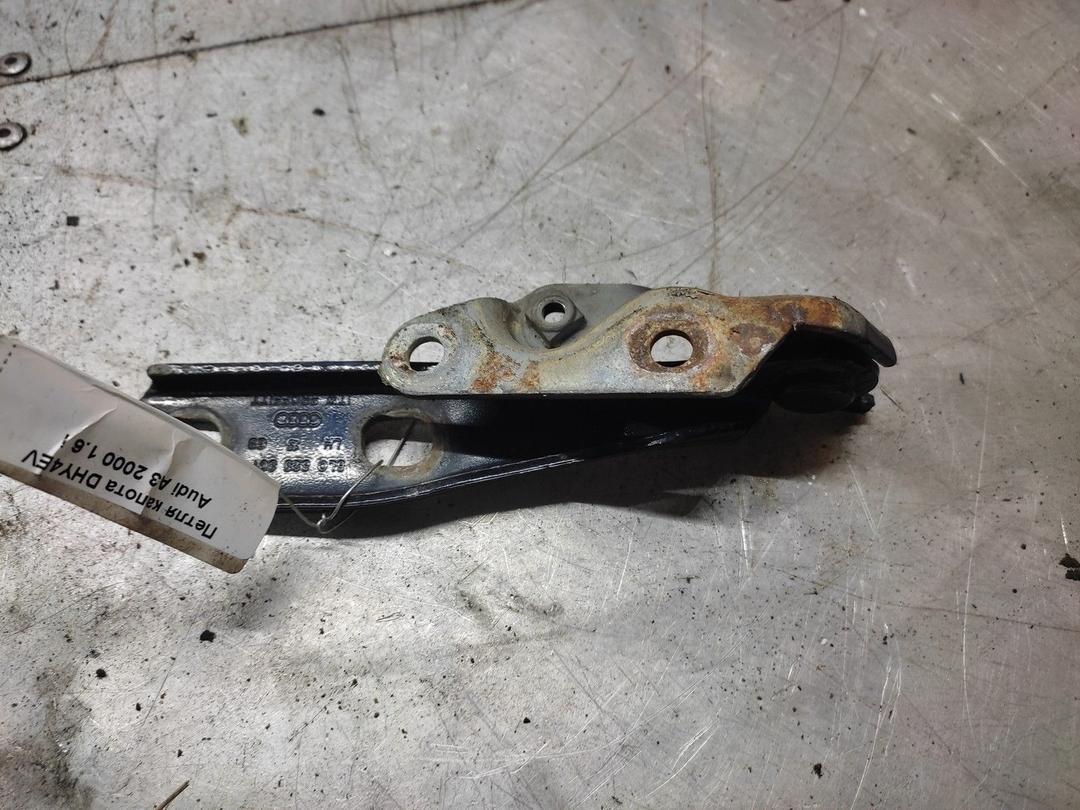 Петля капота DHY4EV Audi A3 купить