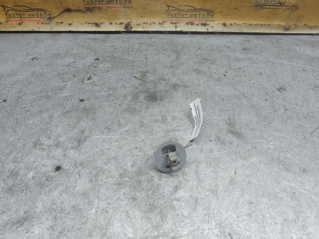 Крепление (крючок) солнцезащитного козырька A4LCCB Renault Scenic купить с доставкой