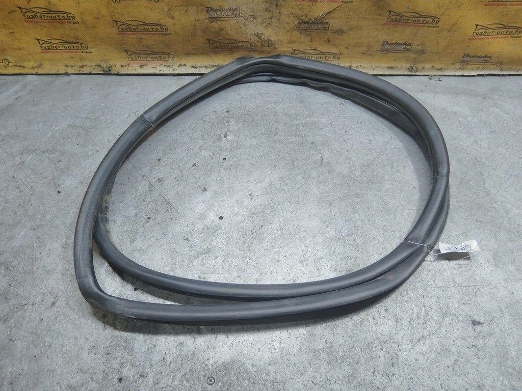 Уплотнитель двери задней правой WZ9784 Honda FR-V - Фото 3