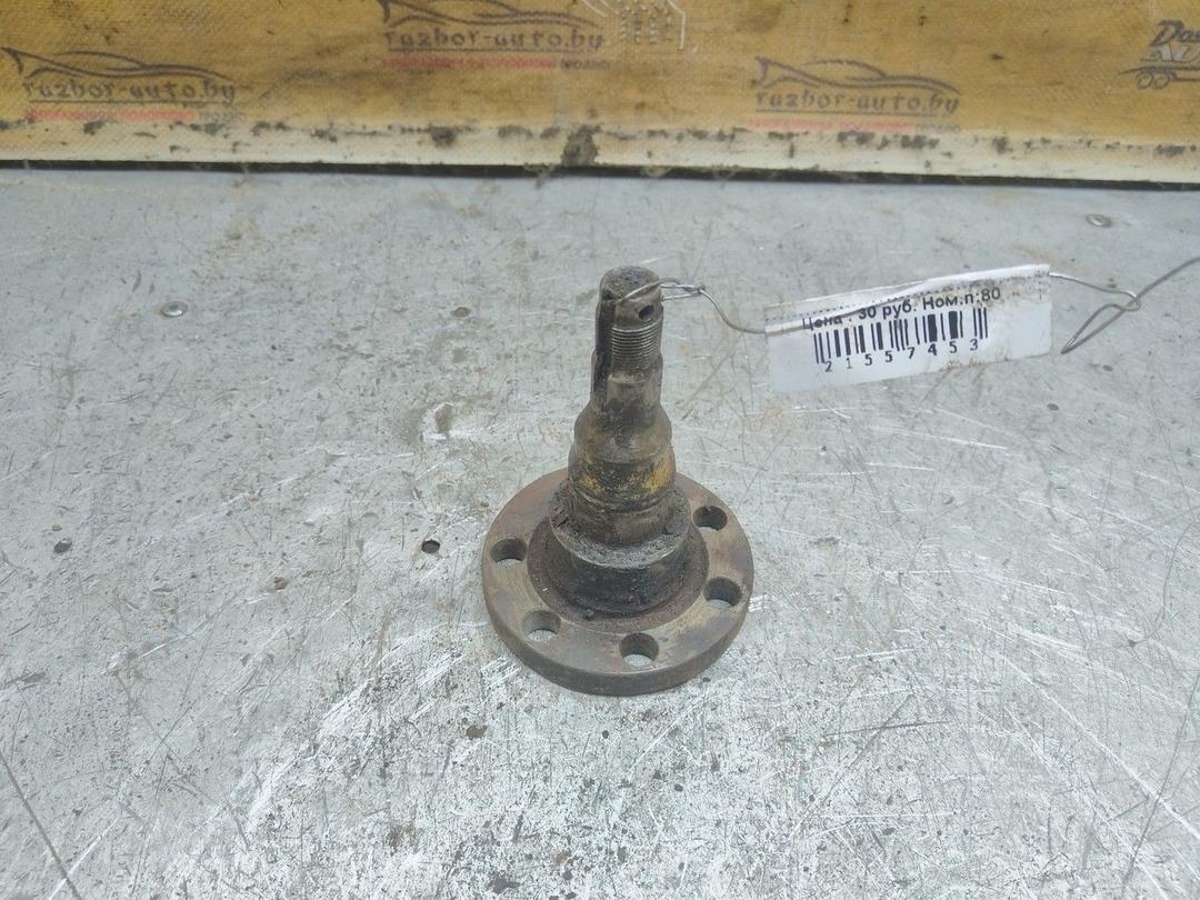 Цапфа задняя (ось ступицы) 87UXF8 Volkswagen Passat - Фото 1