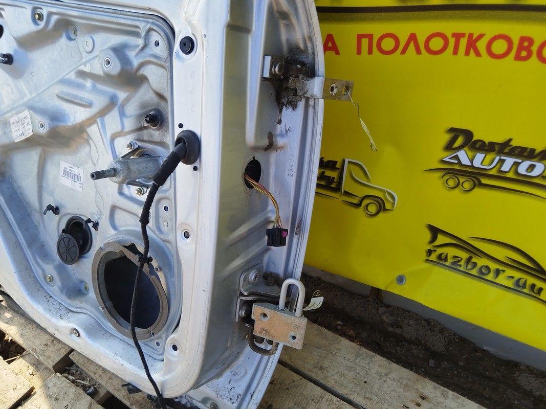 Петля двери задней левой NM9UEK Volkswagen Passat купить с доставкой