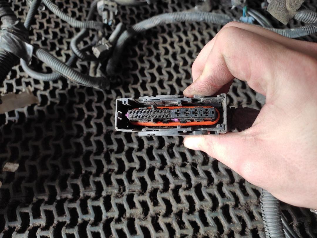 Проводка BC55WD Nissan Primera купить на авторазборке