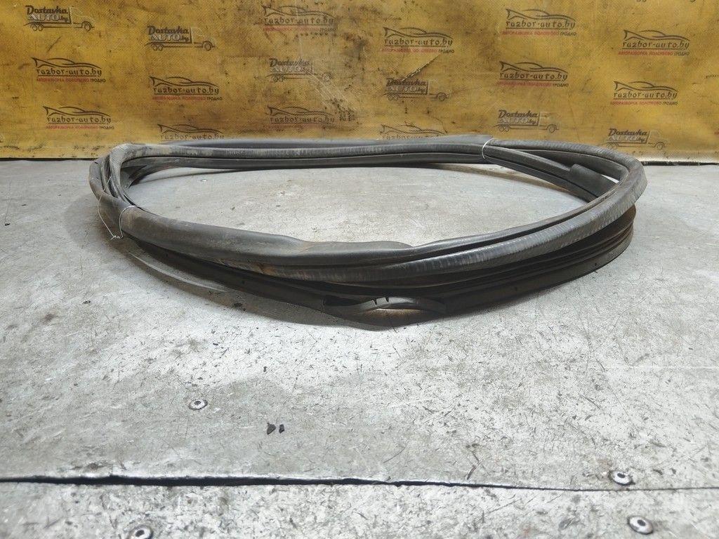 Уплотнитель двери задней правой WZ9784 Honda FR-V - Фото 2