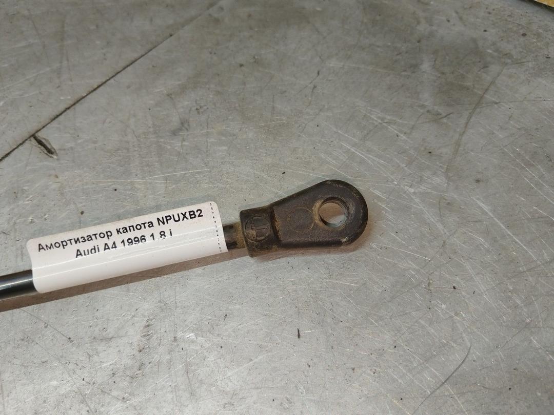 Амортизатор капота NPUXB2 Audi A4 купить