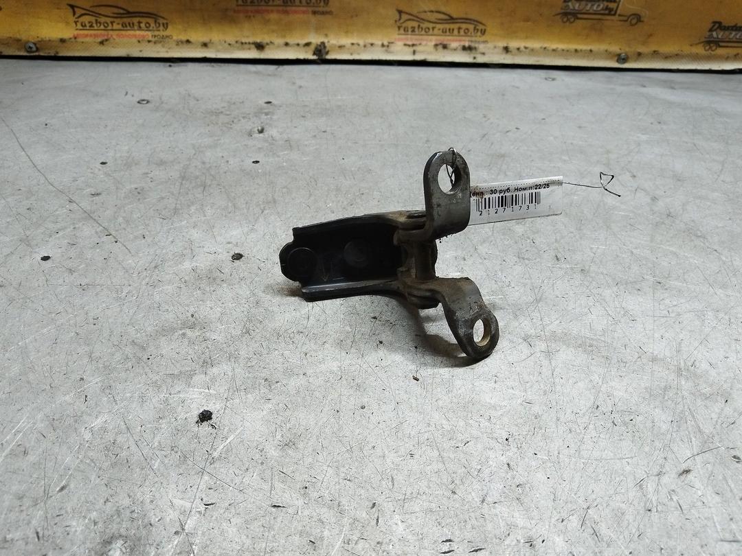 Петля двери задней левой 2KOV79 Honda Accord купить с доставкой