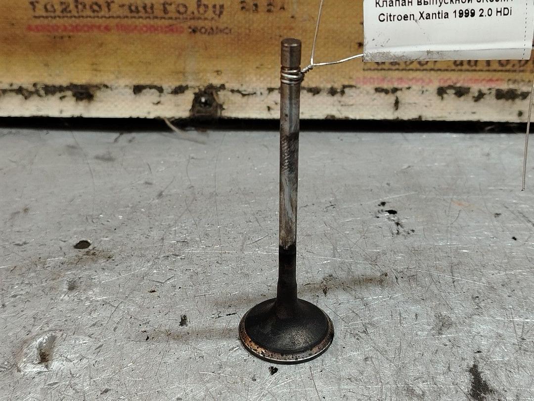 Клапан выпускной 6K30MT Citroen Xantia - Фото 1