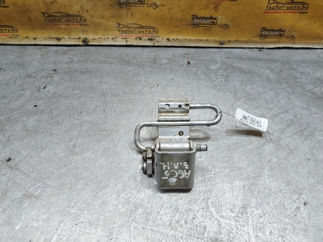 Петля двери задней левой W8PHZI Audi A6 купить