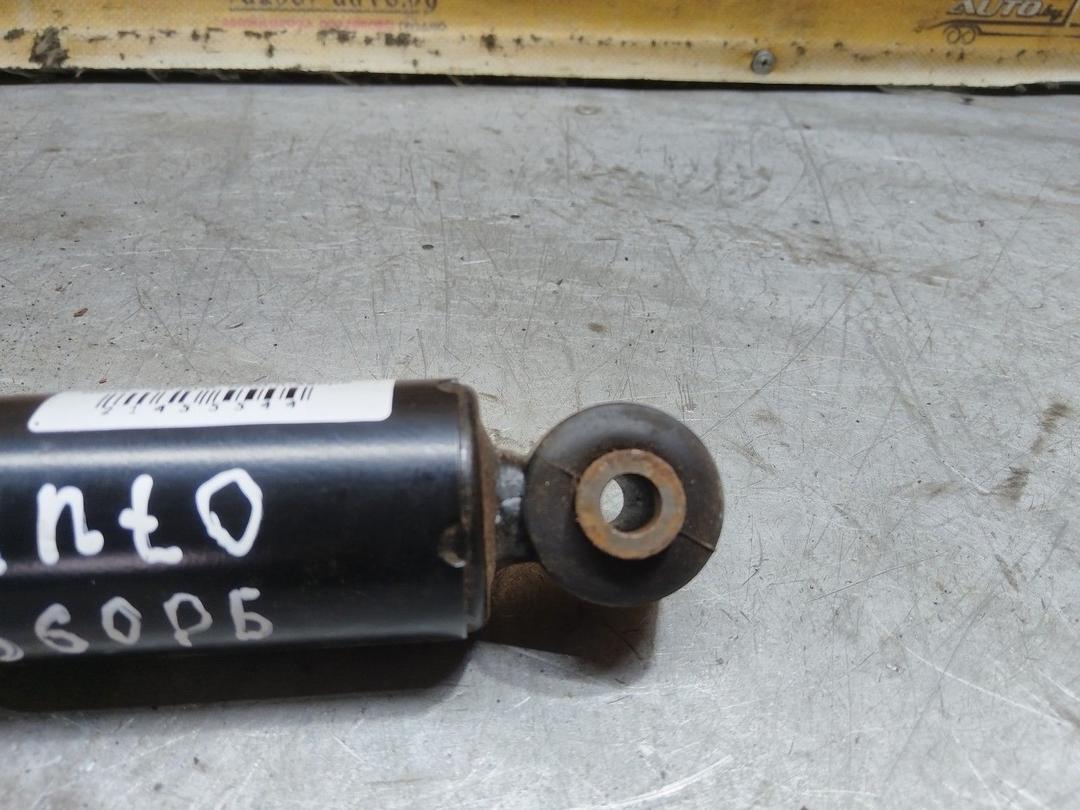 Амортизатор задний правый 9YU9AQ Fiat Punto купить в магазине запчастей бу