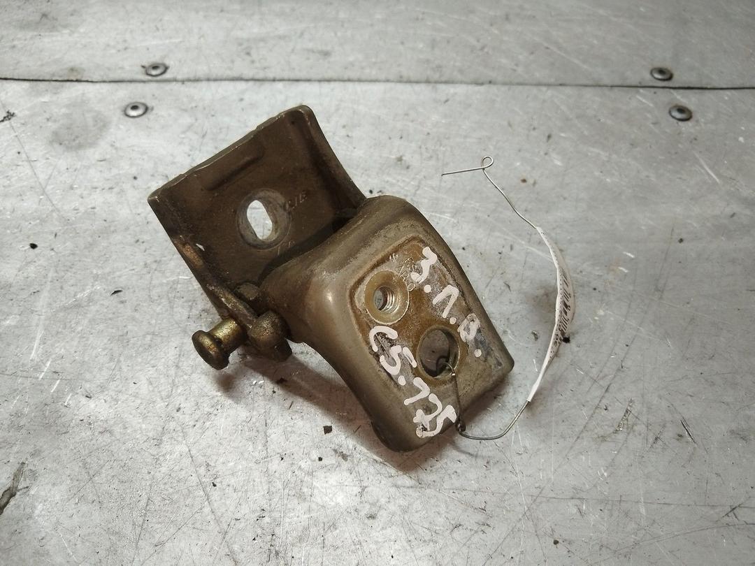 Петля двери задней левой 1EJ3XF Citroen C5 - Фото 1