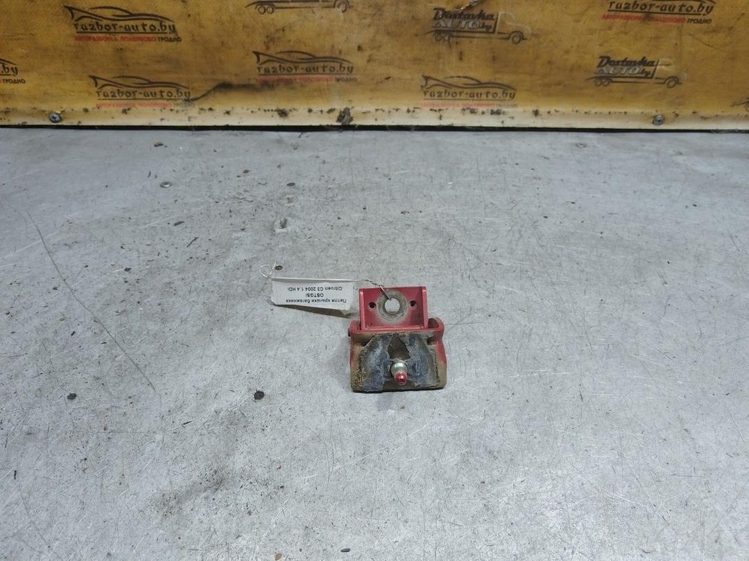 Петля крышки багажника OSTGSI Citroen C3 купить