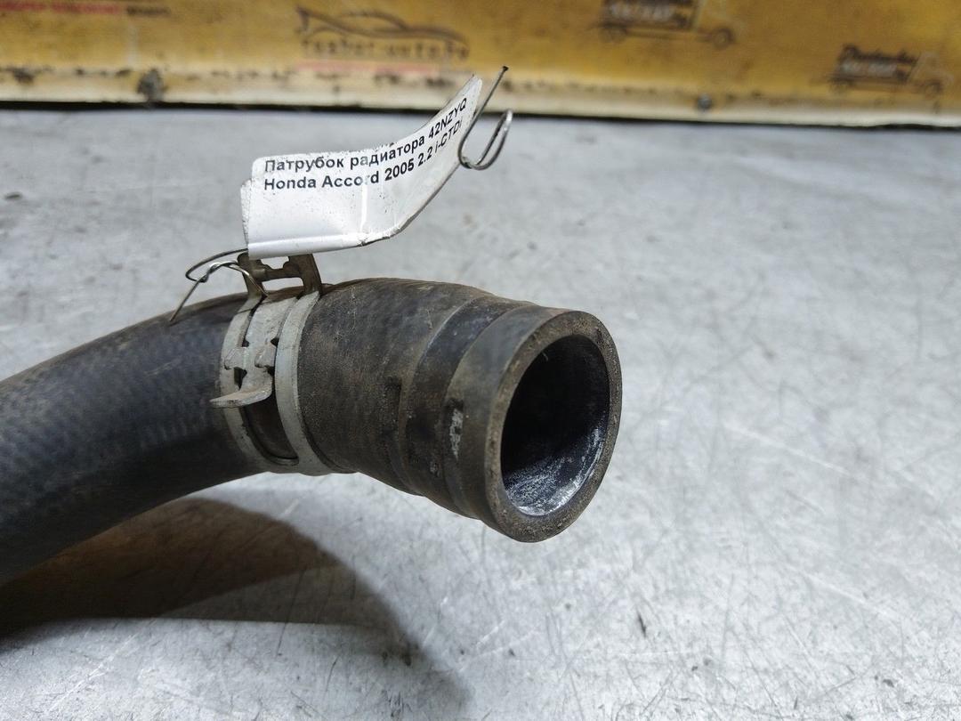 Патрубок радиатора 42NZYQ Honda Accord купить