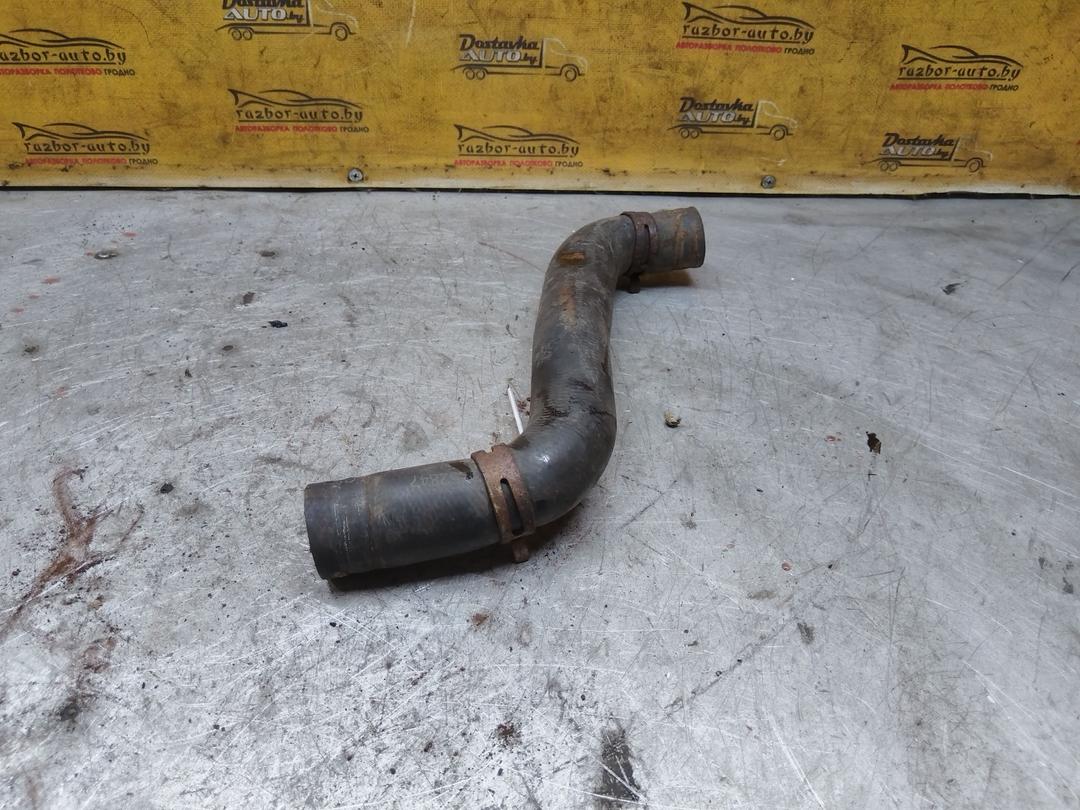 Патрубок радиатора 1CPASJ Nissan Note - Фото 3