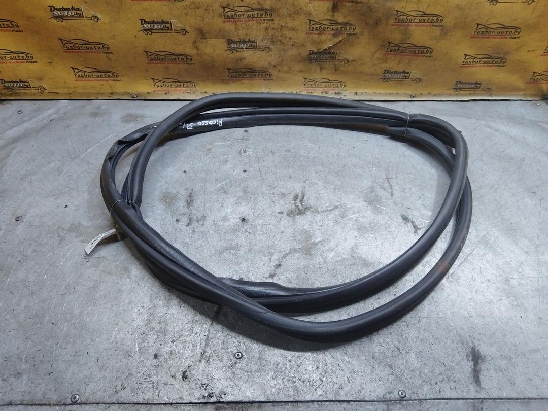 Уплотнитель двери передней левой D3VOEU Citroen Xsara Picasso купить с доставкой