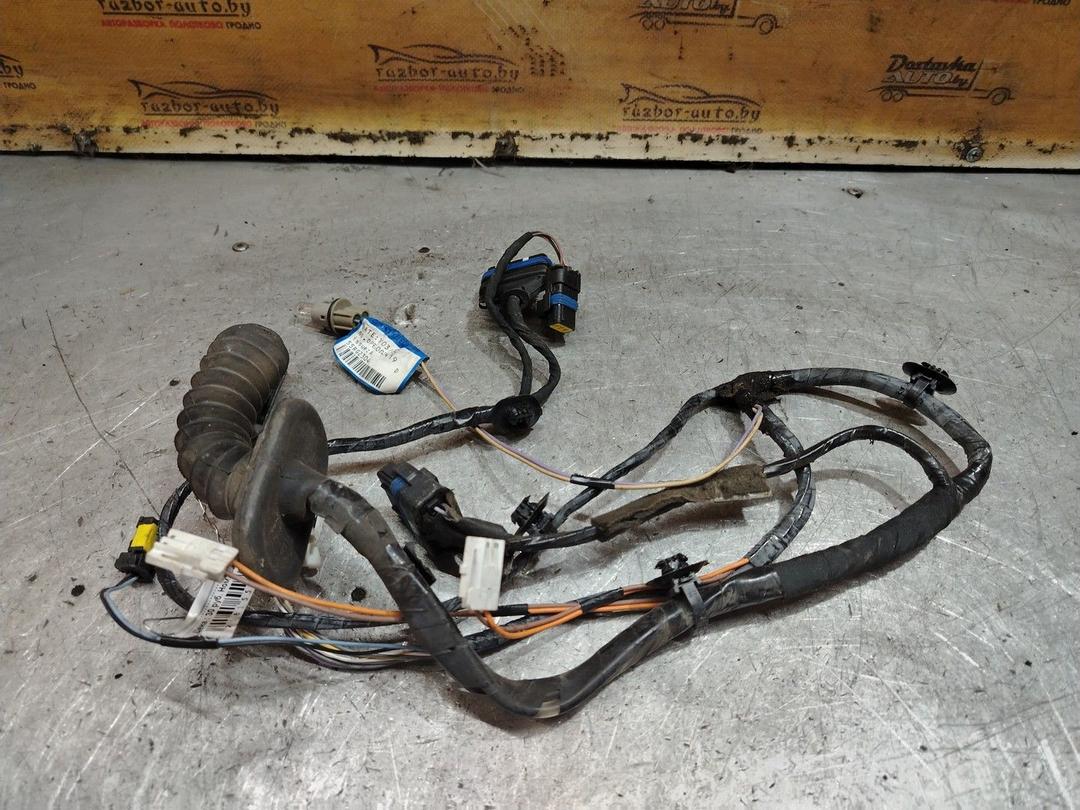 Проводка двери задней правой XYZPY8 Renault Vel Satis - Фото 3