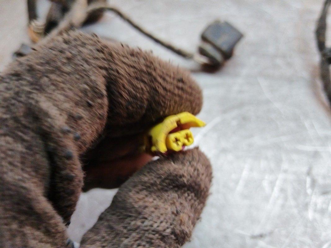 Проводка двери передней правой AU28F4 Volkswagen Passat купить с доставкой