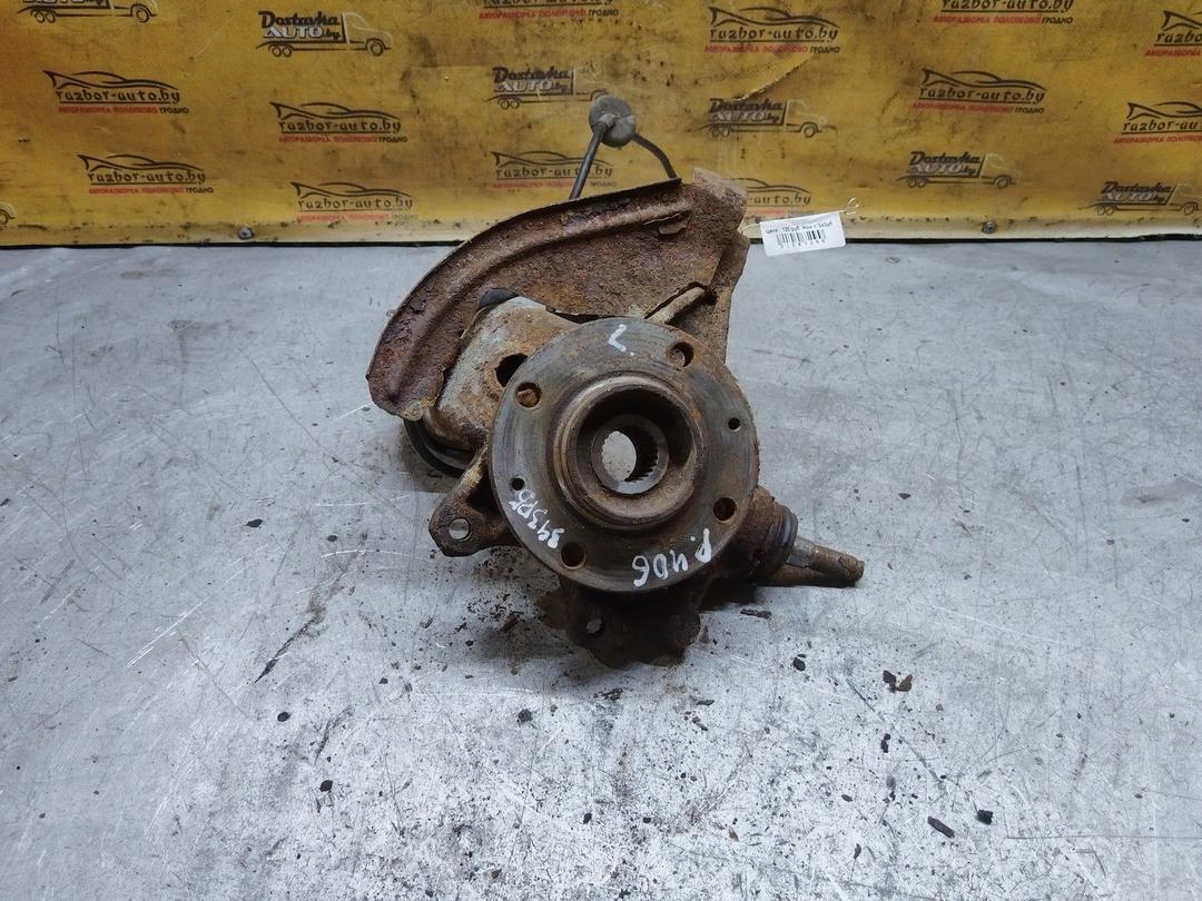 Кулак поворотный левый RJWH6P Peugeot 406