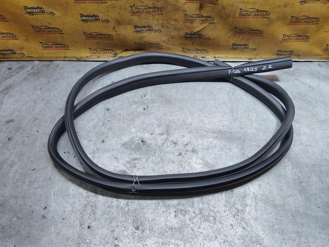 Уплотнитель двери задней правой DKR07G Ford Galaxy купить с доставкой