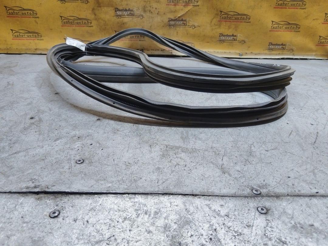 Уплотнитель двери задней левой WGU26S Honda Accord купить