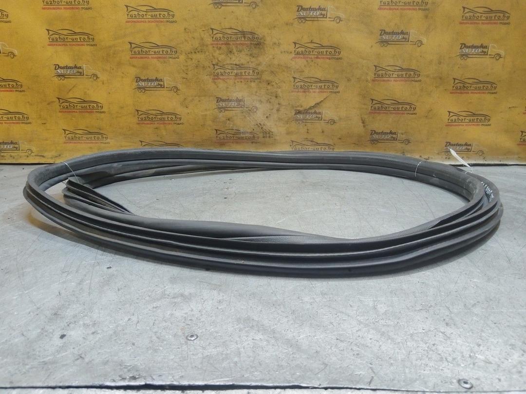 Уплотнитель двери передней левой Z6RN11 Citroen Xsara Picasso - Фото 4