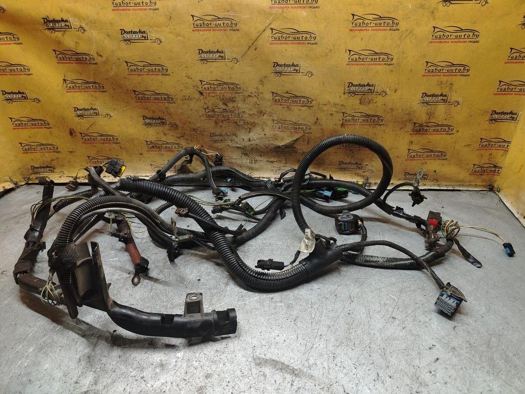 Проводка двигателя B3OGPC Peugeot 206 - Фото 1