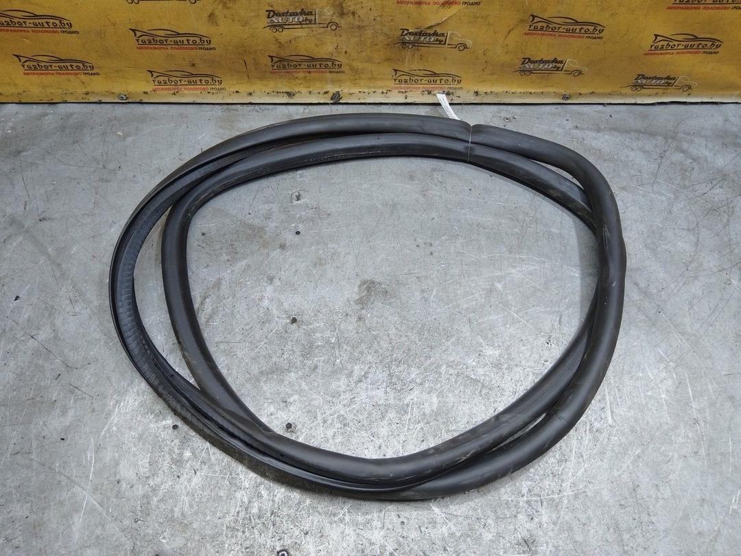 Уплотнитель двери задней левой YB0WJ6 Volkswagen Polo