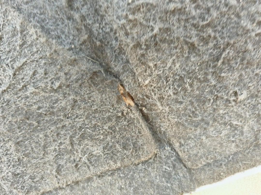 Пол багажника 5KK2LG Toyota Corolla Verso купить