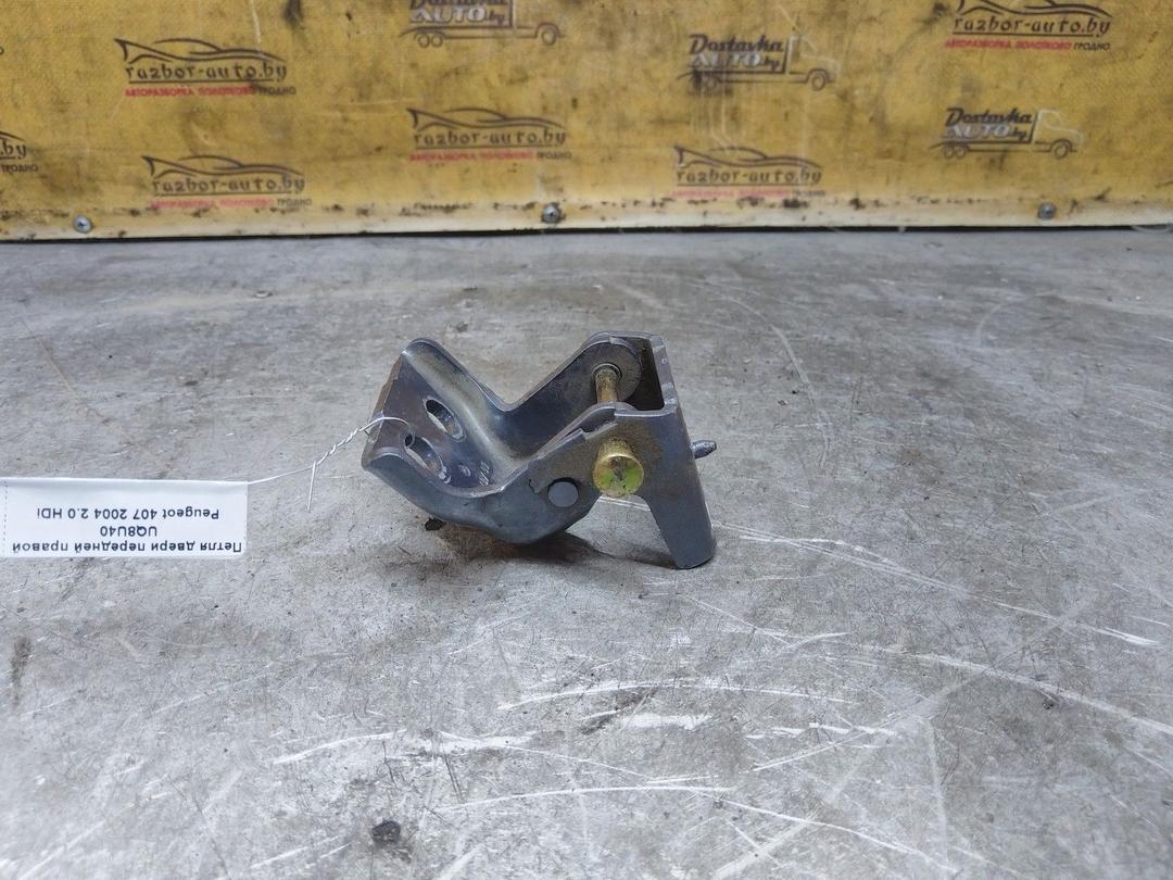 Петля двери передней правой UQ8U40 Peugeot 407 купить