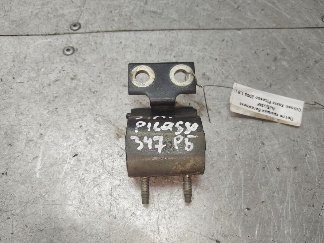 Петля крышки багажника NJEU3M Citroen Xsara Picasso - Фото 1